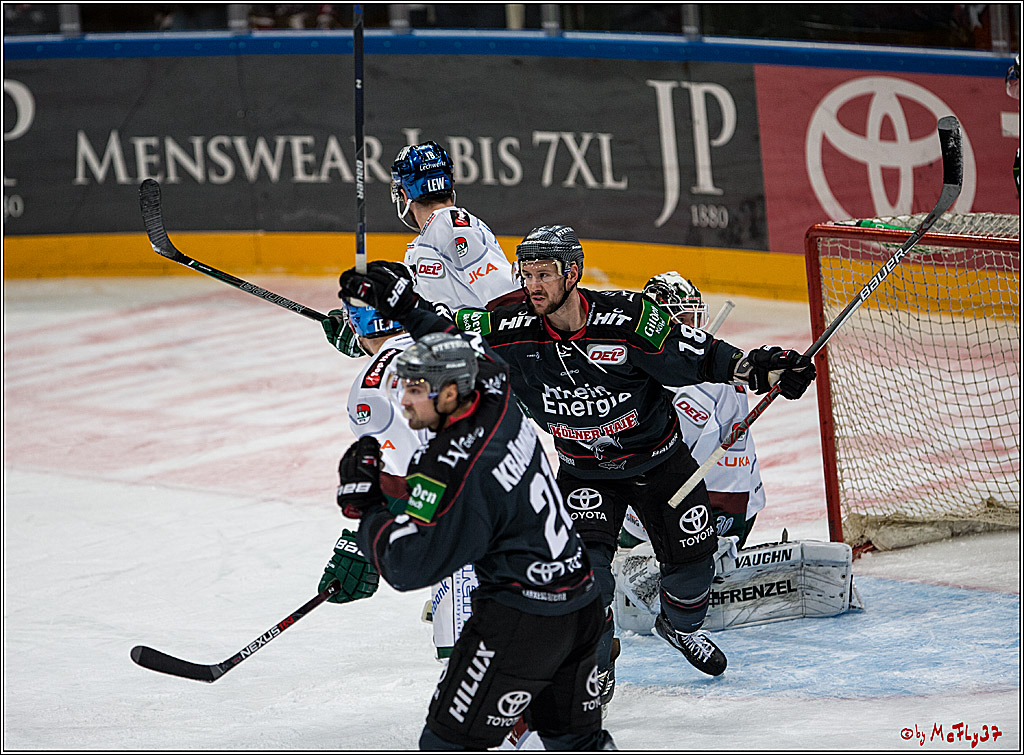 DEL, Koelner Haie - Augsburger Panther, 13.01.2017